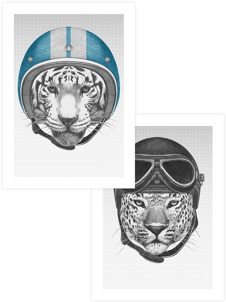 Leopar & Kaplan Pilot - Poster Seti Duo Çocuk Odası Poster