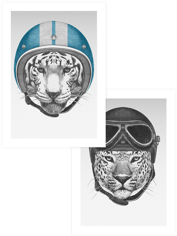 Leopar & Kaplan Pilot - Poster Seti Duo