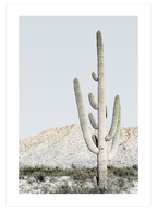 Couleurs Soft - Poster Seti Duo