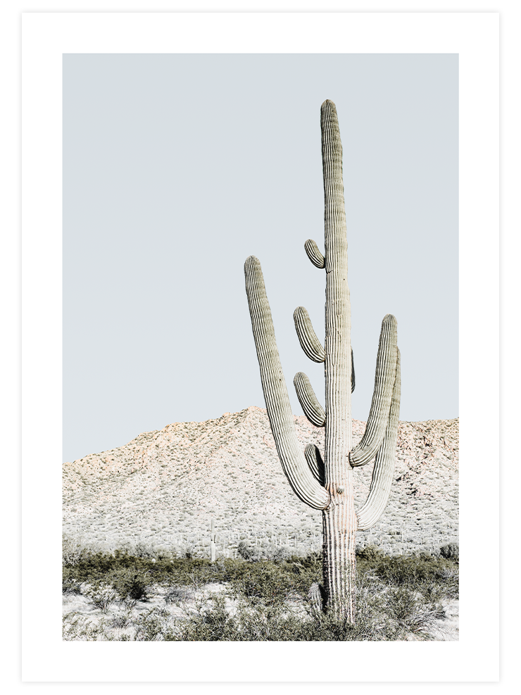 Couleurs Soft - Poster Seti Duo