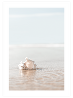 Touch of Serenity Poster Seti