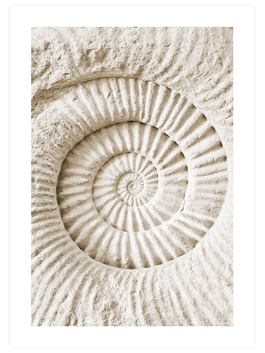 Relaxing Corner Poster Seti