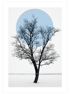 Sükûnet - Poster Seti Duo