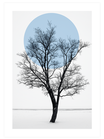 Sükûnet - Poster Seti Duo