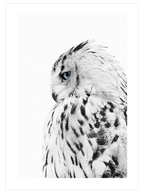 Mavi Dokunuş - Poster Seti Duo