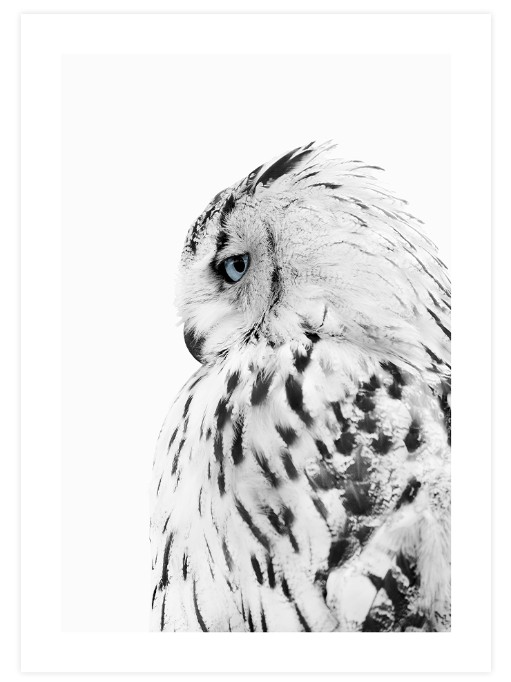 Mavi Dokunuş - Poster Seti Duo