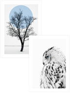 Sükûnet - Poster Seti Duo