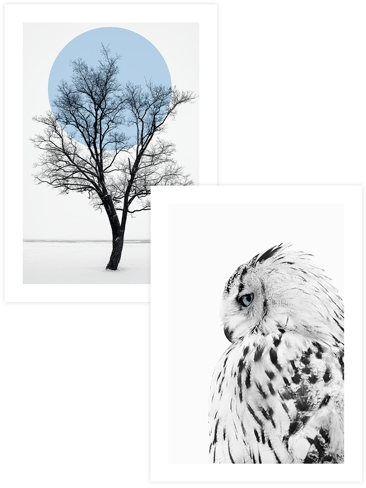 Sükûnet - Poster Seti Duo