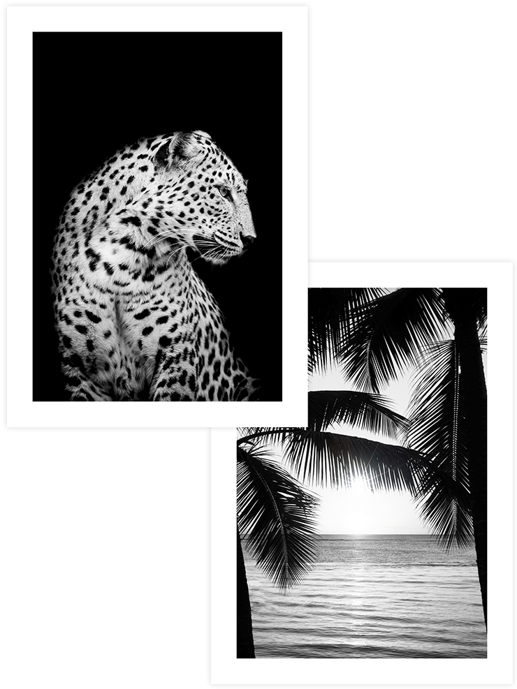 Egzotik Güzellik - Poster Seti Duo