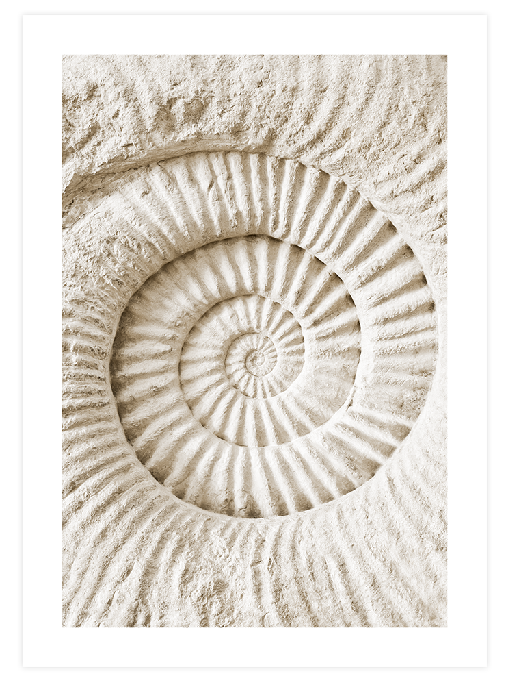 Natural Blue - Poster Seti Duo