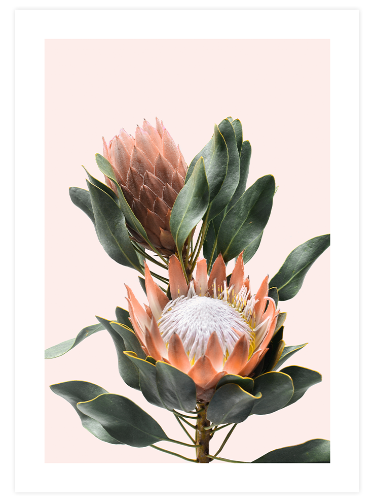 Çeşme & Çiçek - Poster Seti Duo Ürün ikincil görseli