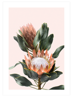 Çeşme & Çiçek - Poster Seti Duo