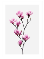 Flower Power - Poster Seti Duo