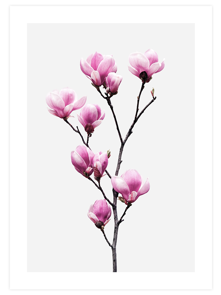 Flower Power - Poster Seti Duo