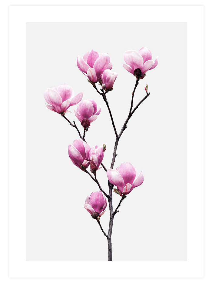 Flower Power - Poster Seti Duo  Poster