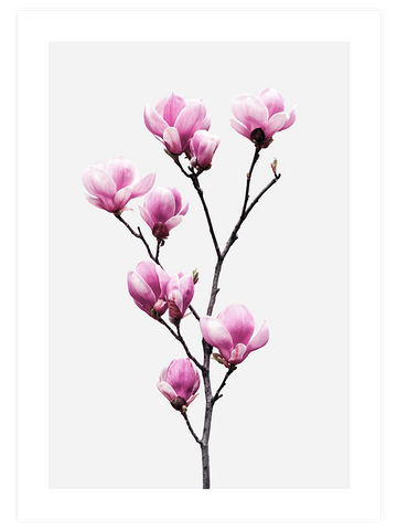 Flower Power - Poster Seti Duo