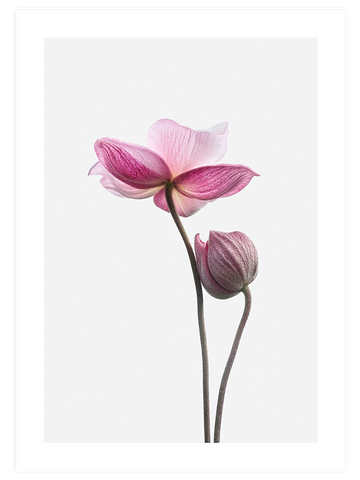 Flower Power - Poster Seti Duo