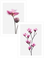 Flower Power - Poster Seti Duo