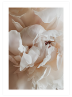 Sweetly - Poster Seti Duo