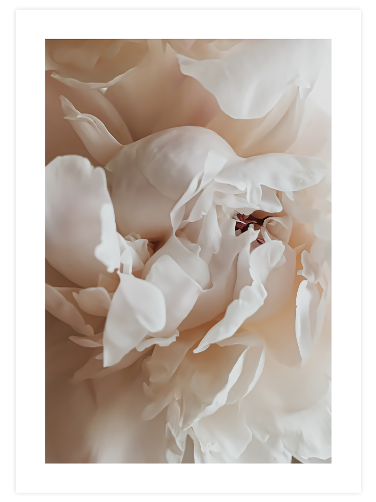 Sweetly - Poster Seti Duo