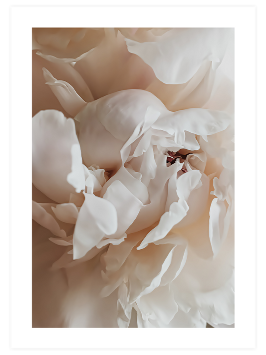 Sweetly - Poster Seti Duo