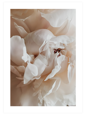 Sweetly - Poster Seti Duo
