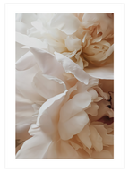 Sweetly - Poster Seti Duo