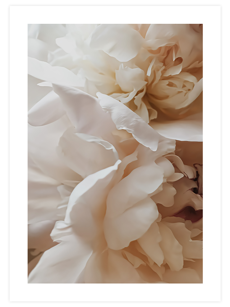 Sweetly - Poster Seti Duo