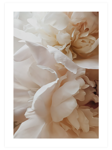 Sweetly - Poster Seti Duo
