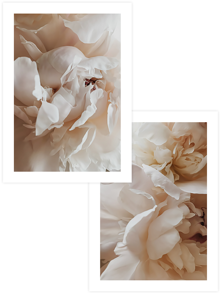 Sweetly - Poster Seti Duo Ürün ana görseli