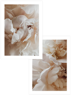 Sweetly - Poster Seti Duo