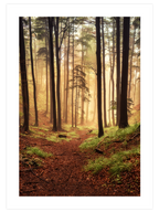 Deep Breath - Poster Seti Duo