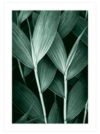 Green Aesthetic - Poster Seti Duo