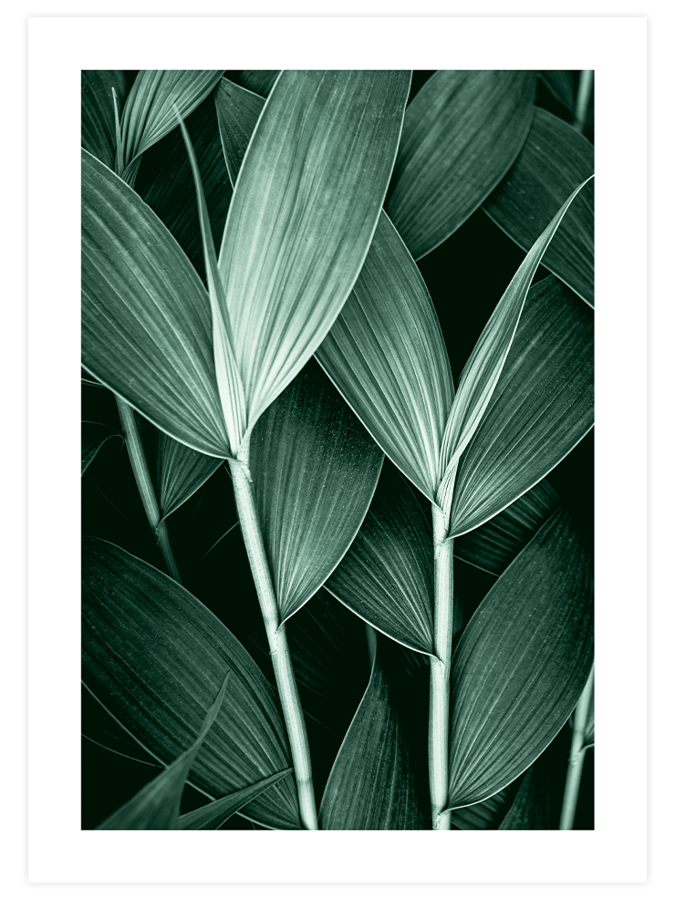 Green Aesthetic - Poster Seti Duo