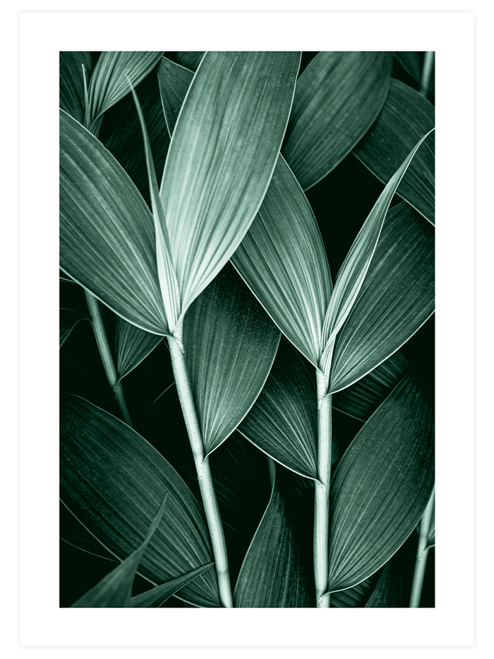 Green Aesthetic - Poster Seti Duo  Poster