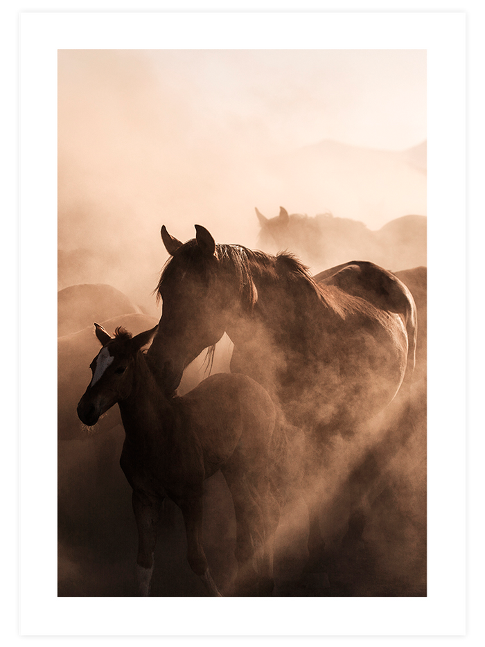Les Chevaux- Poster Seti Duo  Poster