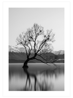 Peaceful Quietness - Poster Seti Duo