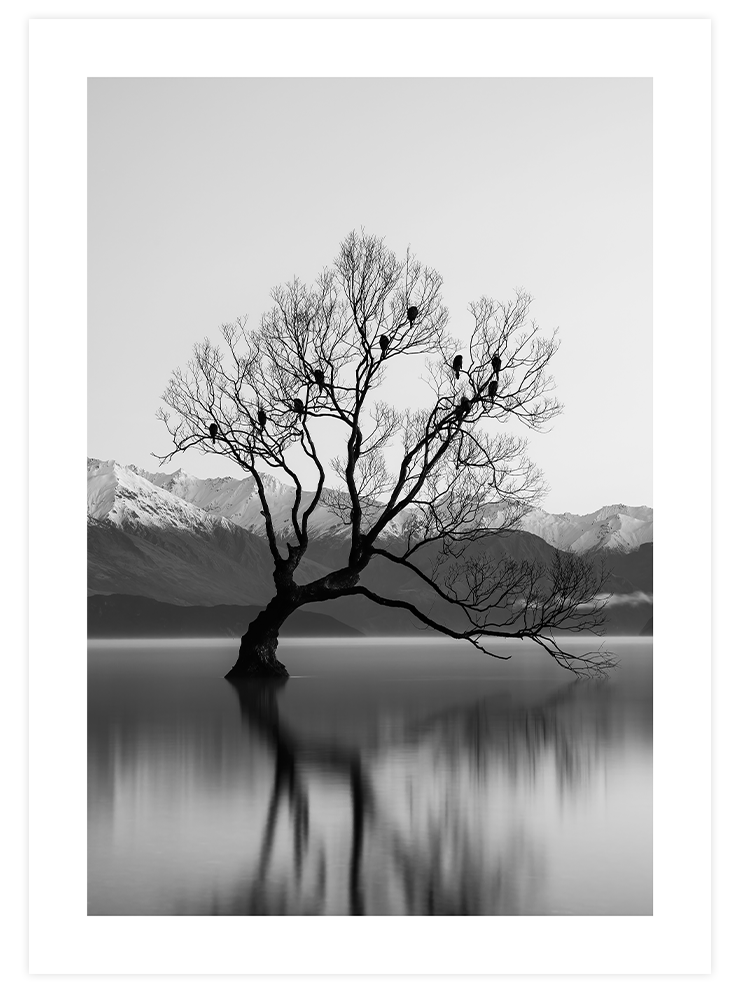 Peaceful Quietness - Poster Seti Duo