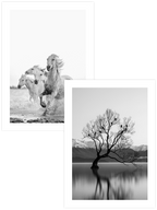 Pure Freedom - Poster Seti Duo