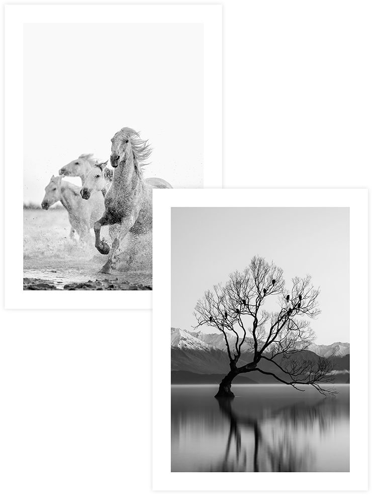 Pure Freedom - Poster Seti Duo