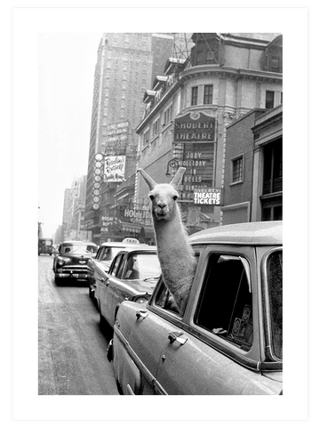 İkonik New York - Poster Seti Duo