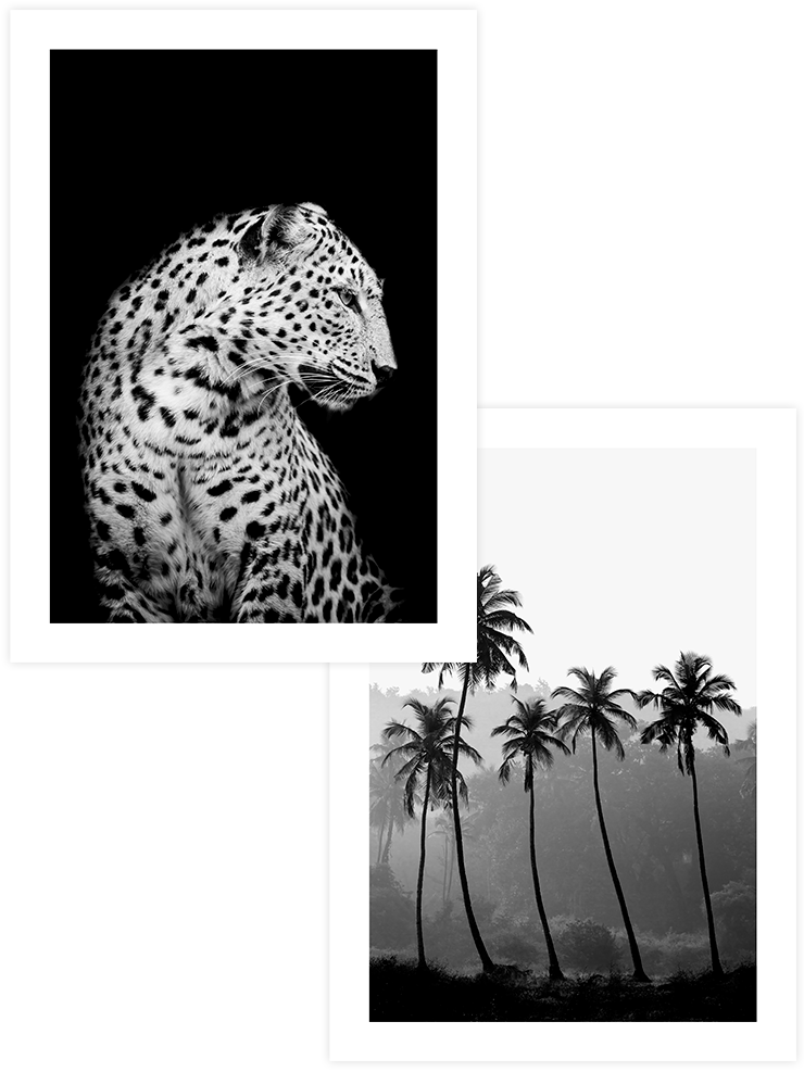 Intense Black - Poster Seti Duo Ürün ana görseli