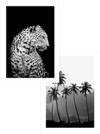 Intense Black - Poster Seti Duo