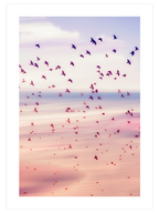 Pink Shades - Poster Seti Duo