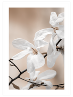 Blooming - Poster Seti Duo