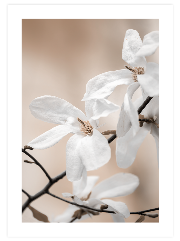 Blooming - Poster Seti Duo