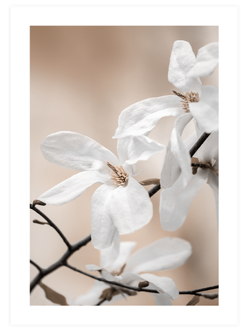 Blooming - Poster Seti Duo