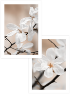 Blooming - Poster Seti Duo