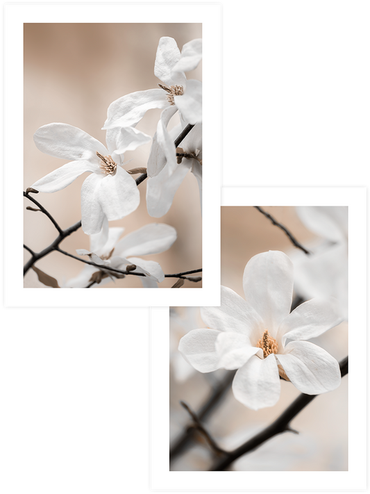 Blooming - Poster Seti Duo