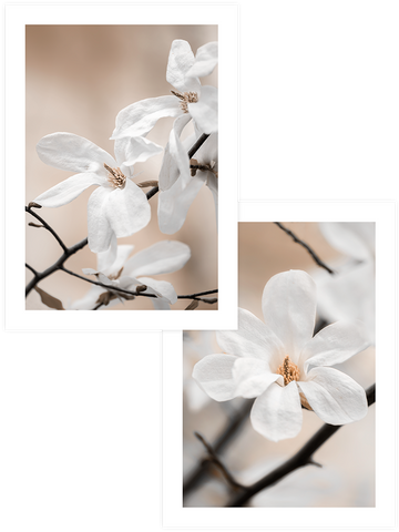 Blooming - Poster Seti Duo
